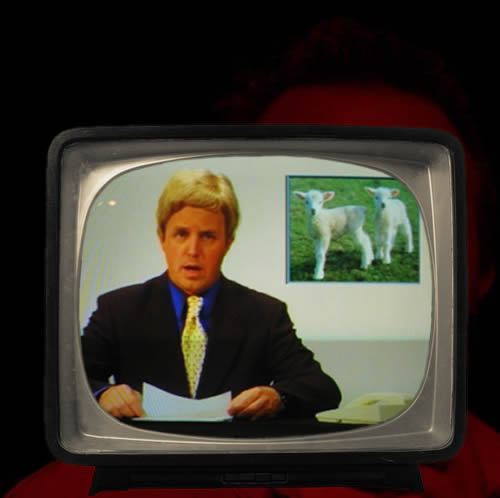bob-tv.jpg