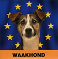 Waakhond.jpg